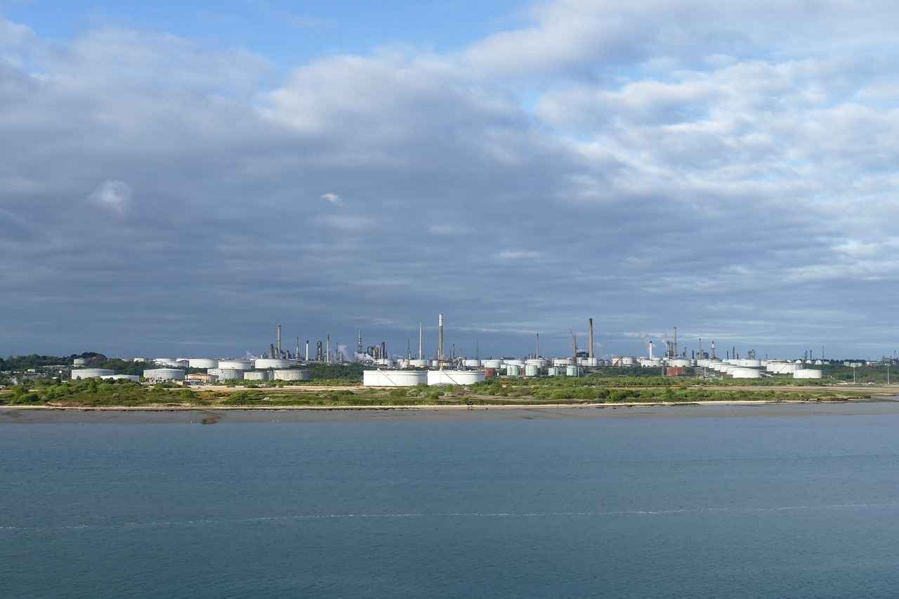 Supporting Skin Elasticity with Grapeseed Oil Capsules 1 What Are Grapeseed Oil Capsules?