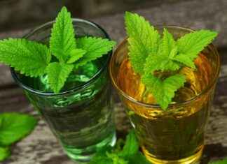 Supporting Sleep and Relaxation with Lemon Balm Supporting Sleep and Relaxation with Lemon Balm