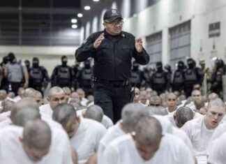 Supreme Court Involvement in Trump Deportations and Firings supreme-court-nvolvement-in-trump-deportations-and-firings