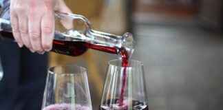 Sweet Red Wine Guide: Best Bottles Under $20 Right Now Sweet Red Wine Guide: Best Bottles Under $20 Right Now