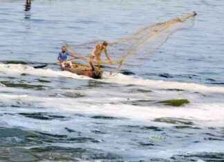 Tackling Pollution: Experts’ Focus on Yamuna Pollution in Delhi tackling-pollution-experts-focus-on-yamuna-pollution-in-delhi