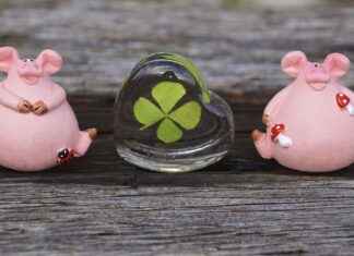 Tamil New Year: A Guide to Celebrations for Tamil Families in NYC Tamil New Year: A Guide to Celebrations for Tamil Families in NYC