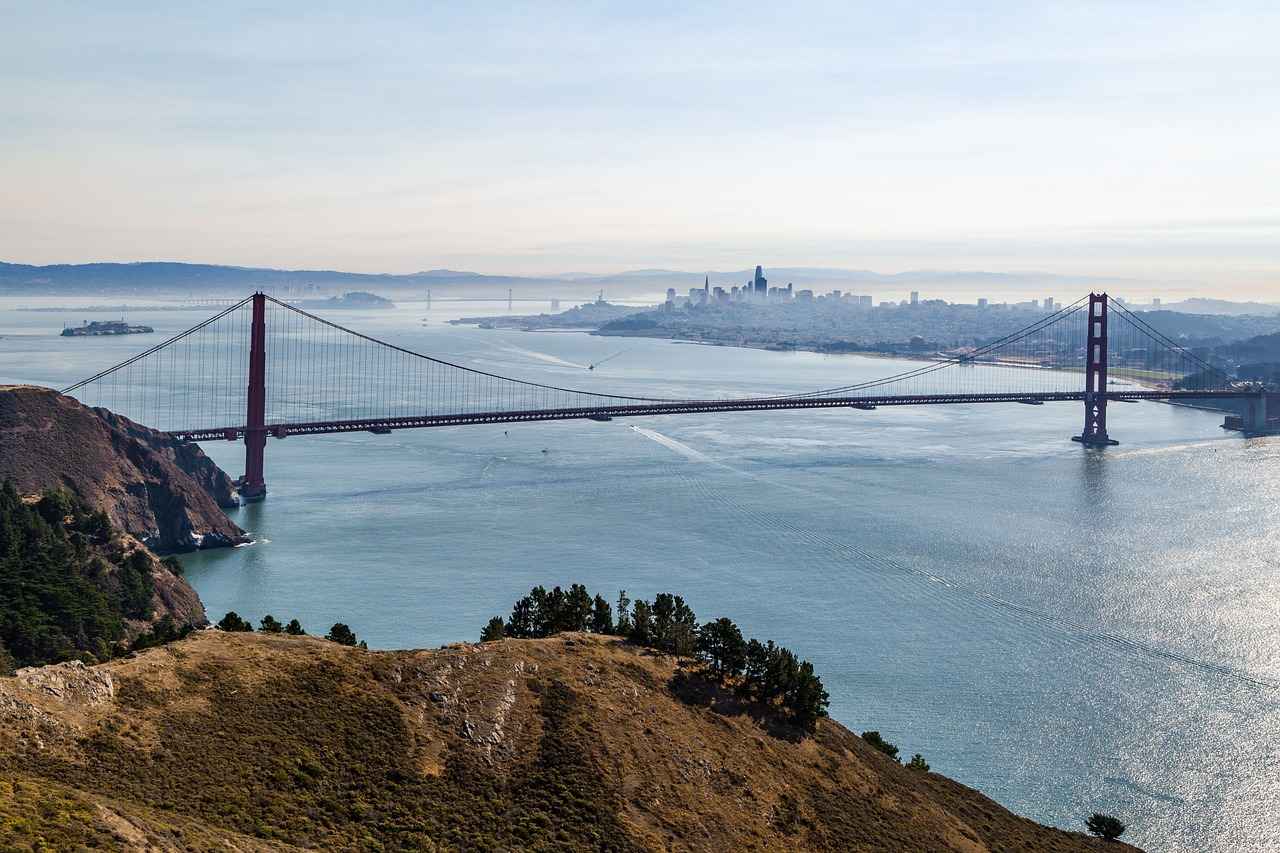 Key Players of the Tampa Bay Buccaneers