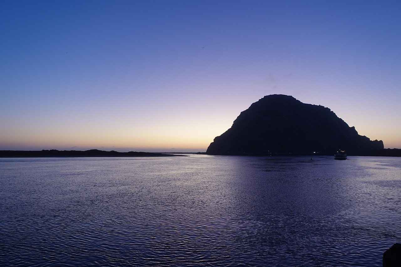 Fan Reactions and Attendance Impact