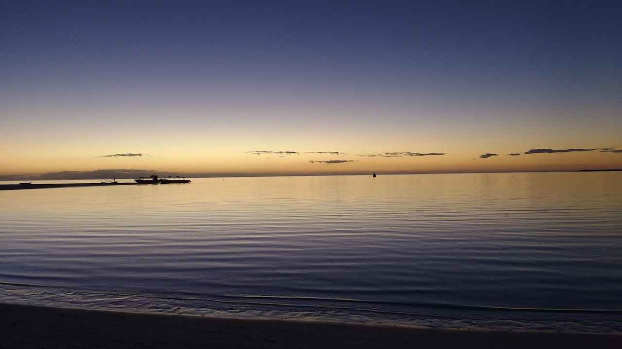 Key Players to Watch