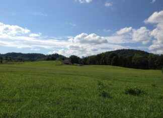 Tennessee Titans vs Buffalo Bills Match Player Stats Tennessee Titans vs Buffalo Bills Match Player Stats