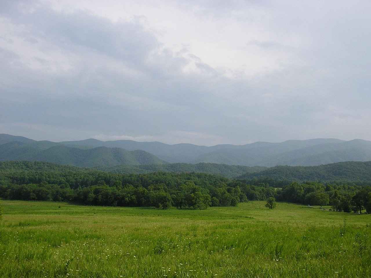 Post-Game Analysis and Insights