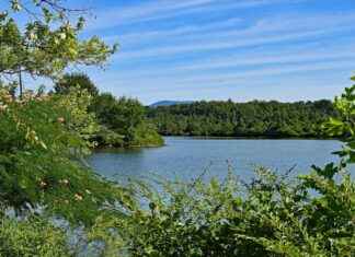 Tennessee Titans vs Miami Dolphins Match Player Stats Tennessee Titans vs Miami Dolphins Match Player Stats