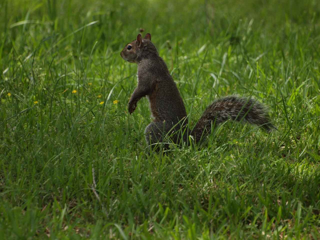 Future Implications for Both Teams