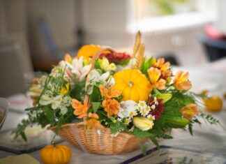 Thanksgiving Movie for Kids: Family Films to Celebrate the Holiday Thanksgiving Movie for Kids: Family Films to Celebrate the Holiday