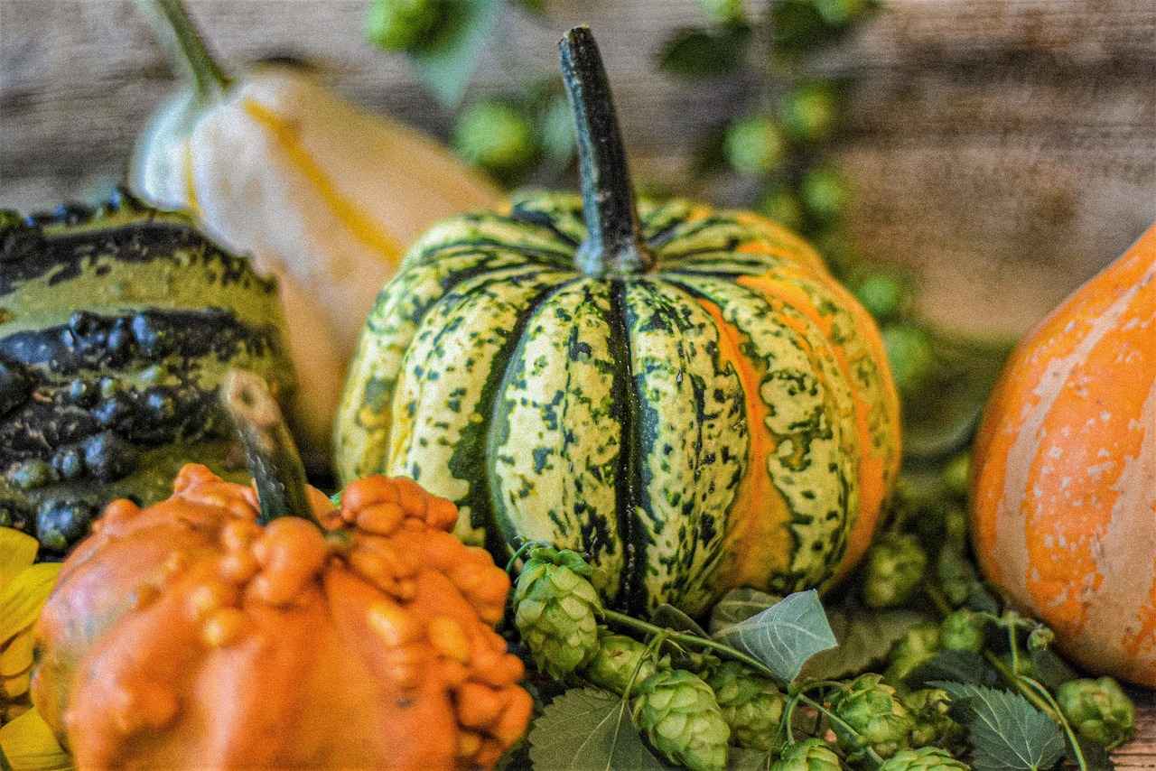 Thanksgiving Movie for Kids: Family Films to Celebrate the Holiday 4 Animated Thanksgiving Specials