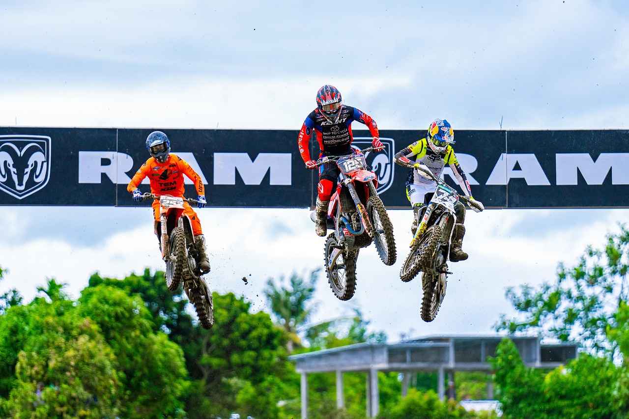 Overview of the 2001 Honda Civic