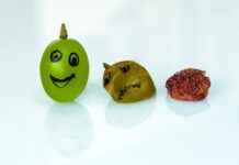 The Anti-Aging Benefits of Nicotinamide Mononucleotide (NMN) The Anti-Aging Benefits of Nicotinamide Mononucleotide (NMN)