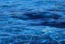 The Benefits of a 7-Day Water Fast: What to Expect The Benefits of a 7-Day Water Fast: What to Expect