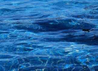 The Benefits of a 7-Day Water Fast: What to Expect The Benefits of a 7-Day Water Fast: What to Expect