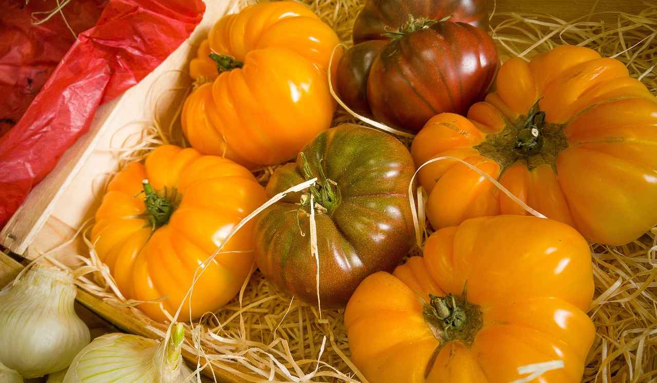 The Benefits of Using a Vegetable Chopper in Your Kitchen 3 3. Versatility in Food Preparation
