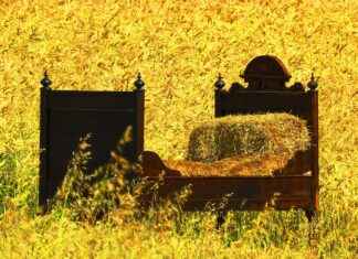 The Best Bed Design 2020: Latest Trends Still in Style The Best Bed Design 2020: Latest Trends Still in Style