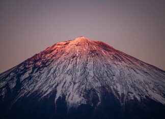 The Best Car Mount Cell Phone Holders for Maximum Safety The Best Car Mount Cell Phone Holders for Maximum Safety