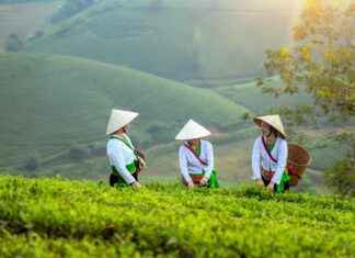 The Best Earring Styles for Women Over 40 The Best Earring Styles for Women Over 40