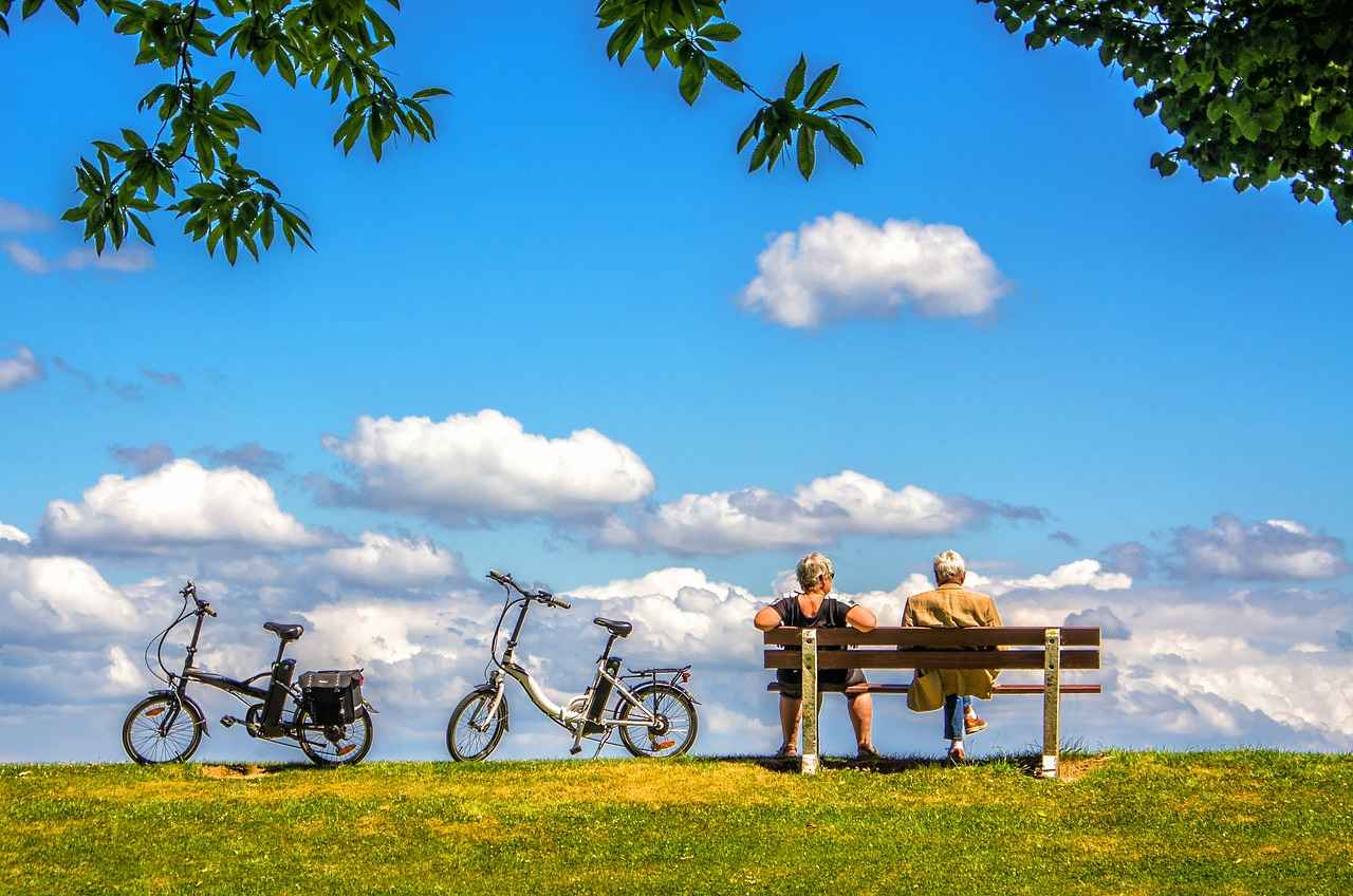 The Best Electric Bike Brands You Need to Know About in 2025 4 4. Comparing Electric Bike Models