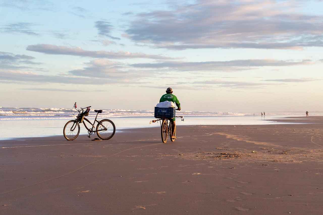 The Best Electric Bike Deals You Can Find Online Right Now 5 5. Best Electric Bike Brands to Watch