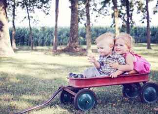 The Best Electric Bikes for Kids: A Parent’s Guide to Safe Riding The Best Electric Bikes for Kids: A Parent’s Guide to Safe Riding