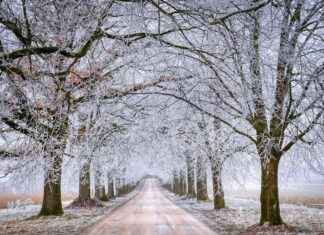 The Best Fat Tire Electric Bikes for Winter Riding The Best Fat Tire Electric Bikes for Winter Riding