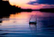 The Best Jewelry for Summer: Lightweight and Stylish Picks The Best Jewelry for Summer: Lightweight and Stylish Picks