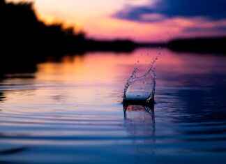 The Best Jewelry for Summer: Lightweight and Stylish Picks The Best Jewelry for Summer: Lightweight and Stylish Picks