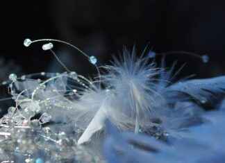 The Best Jewelry Subscription Boxes to Try The Best Jewelry Subscription Boxes to Try