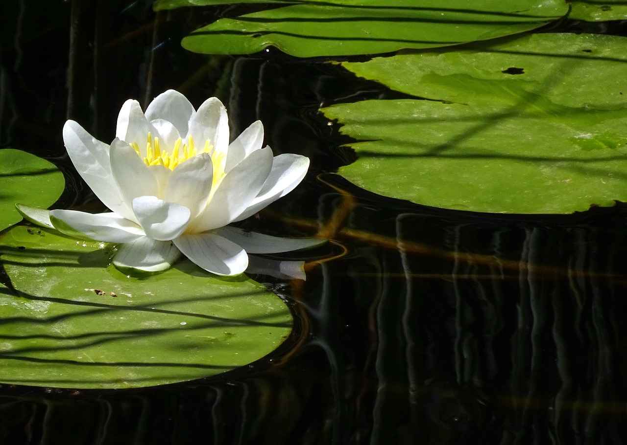 Key Features of the New Balance 574 Core