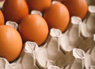 The Best Suction Phone Holders for Cars and Homes The Best Suction Phone Holders for Cars and Homes