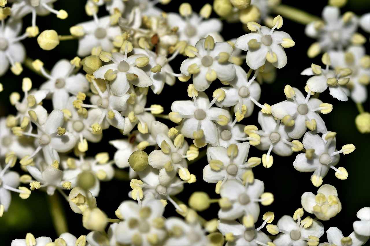 Key Features to Look For