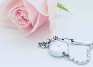 The Best Tesla Phone Holders for Your Vehicle The Best Tesla Phone Holders for Your Vehicle