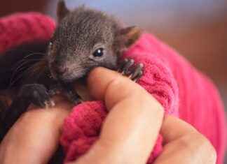 The Best Vape Kits for Beginners in 2025 The Best Vape Kits for Beginners in 2025