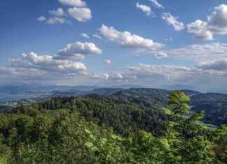 Altın Zincir Çeşitleri ve Eşsiz Tarzları Altın Zincir Çeşitleri ve Eşsiz Tarzları