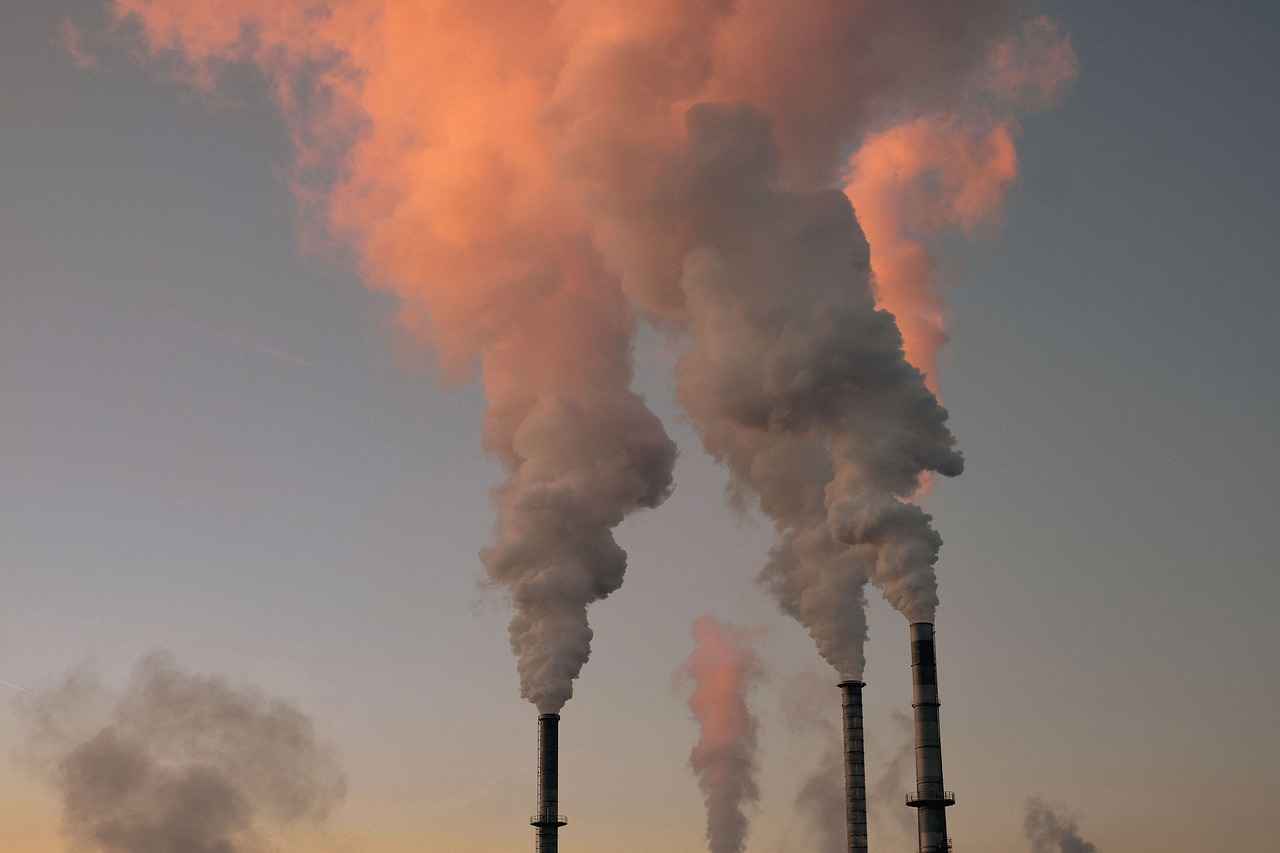 The Economic Impact of the Vaping Industry in 2025 1 What is the Current State of the Vaping Industry?