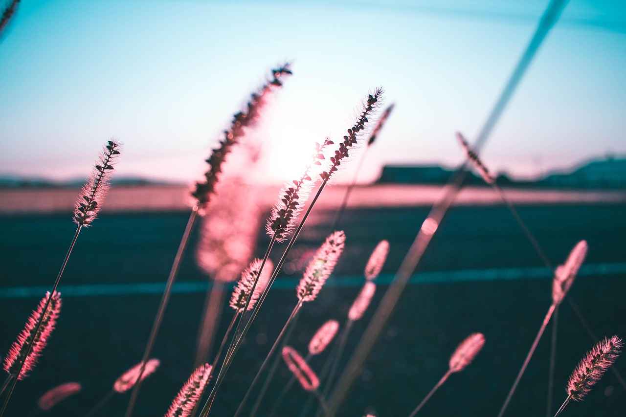 The Economic Impact of the Vaping Industry in 2025 3 What Role Will Regulation Play in the Vaping Industry?