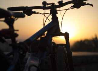 The Electric Bike Shop Near Me: What to Expect From Your Visit The Electric Bike Shop Near Me: What to Expect From Your Visit