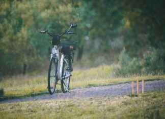 The Environmental Benefits of Switching to an Electric Bike The Environmental Benefits of Switching to an Electric Bike