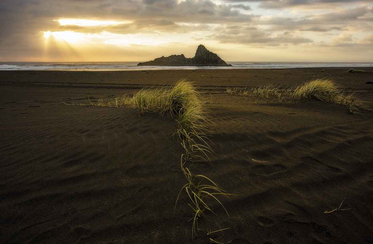 Top New Balance Accessories for Runners