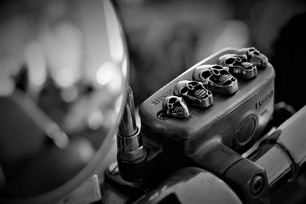 Market Reception and Impact