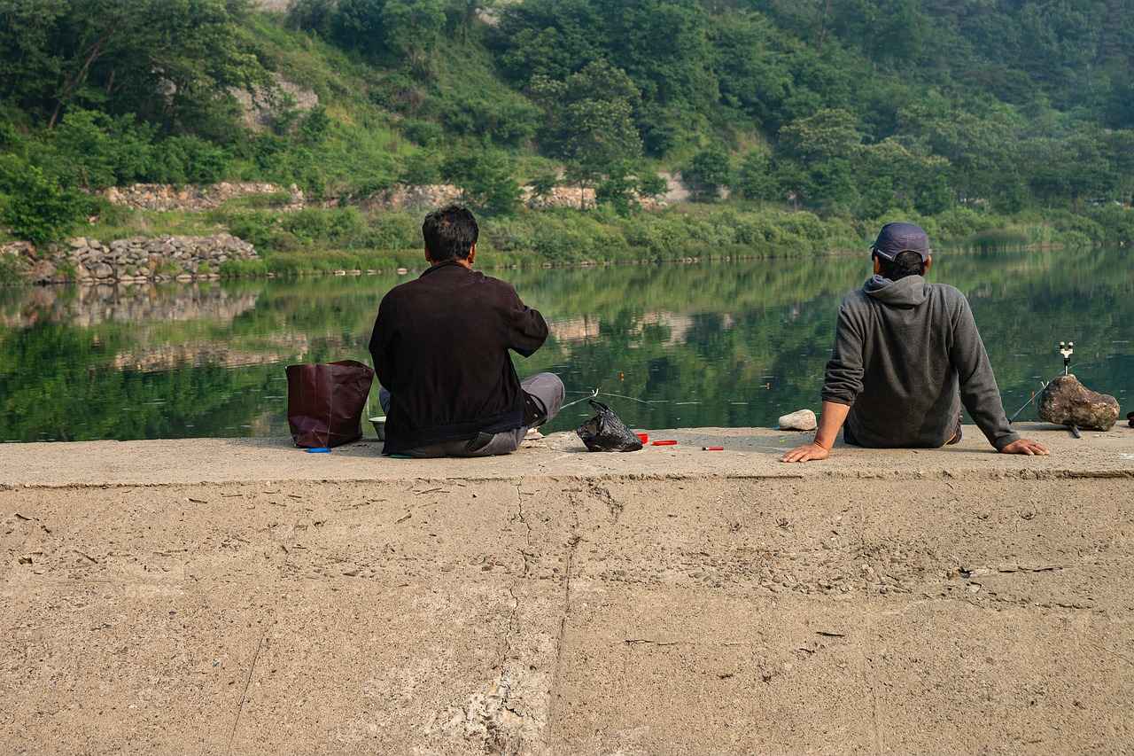 The Frozen River Explained: Plot, Cast, and Hidden Symbolism 7 What Critical Reception Did The Frozen River Receive?