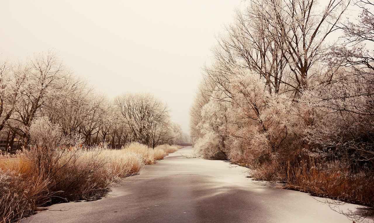 The Frozen River Explained: Plot, Cast, and Hidden Symbolism 10 What Future Projects Are Related to The Frozen River?