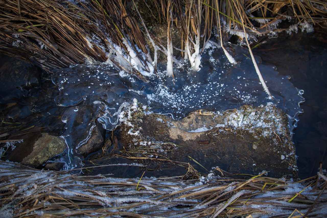 The Frozen River Explained: Plot, Cast, and Hidden Symbolism 11 How Can We Analyze The Frozen River for Educational Purposes?