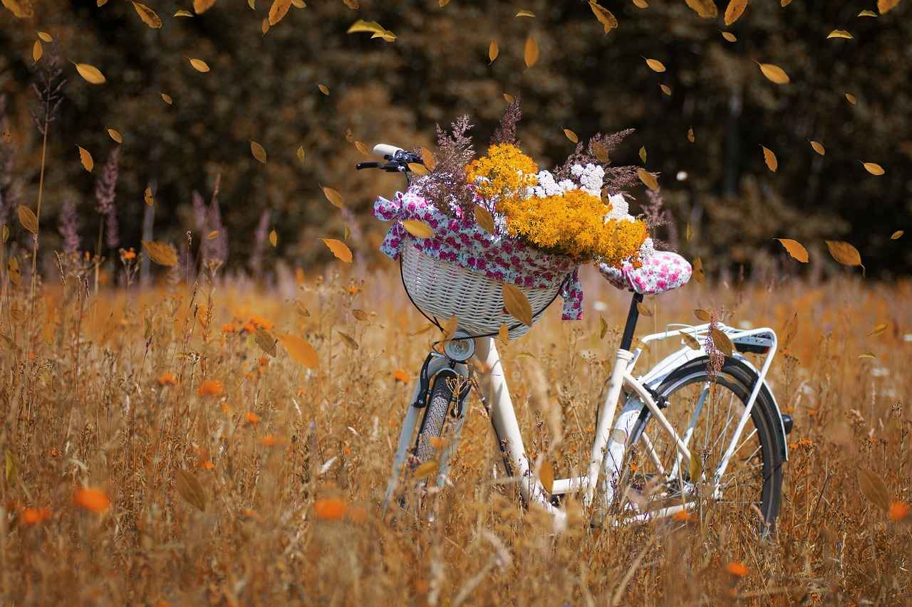 10. Environmental Benefits of Electric Bikes