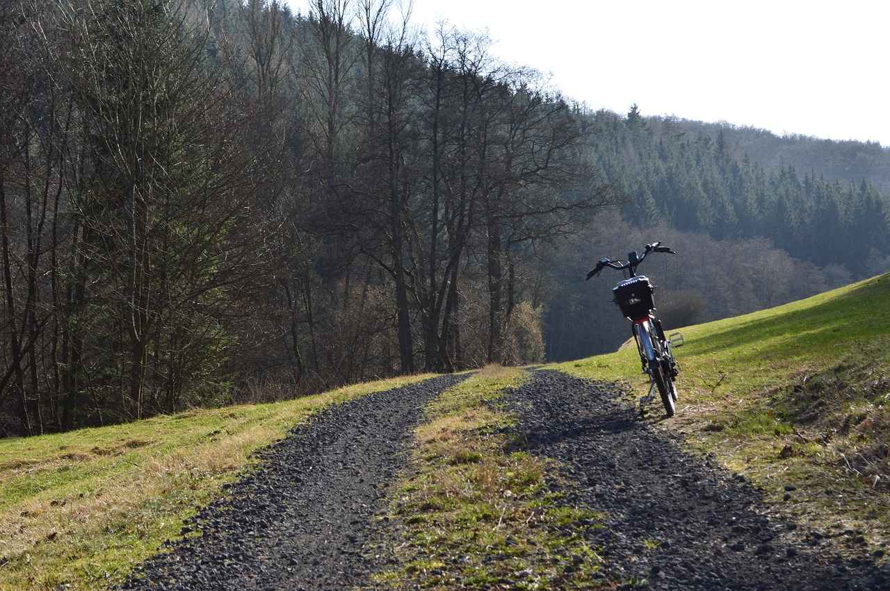 7. Future Trends in Electric Dirt Biking