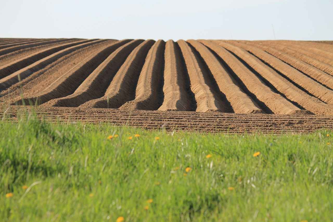 The Hole Is Open: What Does This Viral Phrase Really Mean? 3 The Impact of Influencers on Viral Trends