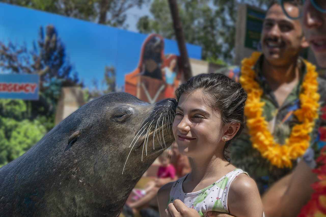 The Cultural Significance of the Collaboration