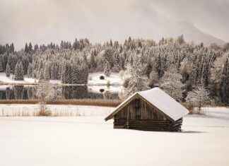 The Impact of New Balance’s Student Discount Program The Impact of New Balance's Student Discount Program